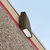 7500 Lumens - 70 Watt - 5000 Kelvin - LED Wall Pack Fixture Thumbnail