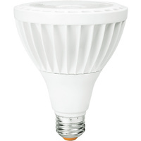 LED PAR30LN 19.5W 4000K NFL