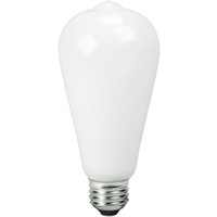 500 Lumens - 8 Watt - 1800-3200 Kelvin - LED Edison Bulb - 60 Watt Equal - Dimmable - 120 Volt - TCP FST19D60GL1