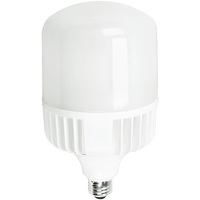 LED HID 40W MH175 E26 5000K