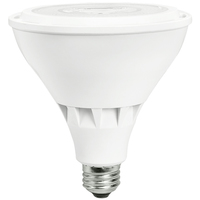LED25PAR38/HO/DIM 5000K