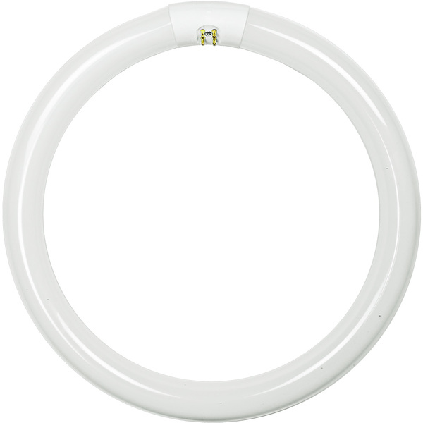 T9 Circline Fluorescent Tube