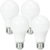 800 Lumens - 9 Watt - 3000 Kelvin - LED A19 Light Bulb Thumbnail