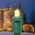 LED Warm White Net Lights - 216 Bulbs - Green Wire Thumbnail