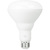Natural Light - 650 Lumens - 9 Watt - 2700 Kelvin - LED BR30 Lamp Thumbnail