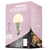 800 Lumens - LED Smart Bulb - A19 - 8 Watt - Tunable White - 2200-6500 Kelvin Thumbnail