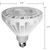 3000 Lumens - 30 Watt - 5000 Kelvin - LED PAR38 Lamp Thumbnail