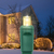 LED Warm White Net Lights - 100 Bulbs - Green Wire Thumbnail