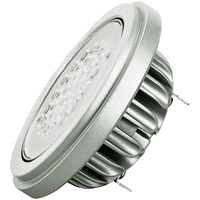 19W SR111 VIVID AR111 36DEG