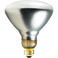 250 WATT  BR40  TOUGH COAT