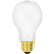 Shatter Resistant - 100 Watt - Frost - Incandescent A19 Bulb Thumbnail