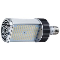 LED 20W WP RETRO E26 5000K