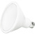 Natural Light - 1500 Lumens - 19 Watt - 3000 Kelvin - LED PAR38 Lamp Thumbnail