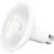 1100 Lumens - 13 Watt - 3000 Kelvin - LED PAR38 Lamp Thumbnail