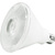 1200 Lumens - 15 Watt - 2700 Kelvin - LED PAR38 Lamp Thumbnail