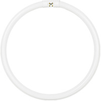 40 Watt - T5 Circline - 11 in. Diameter - 3000 Kelvin