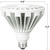 3000 Lumens - 30 Watt - 5000 Kelvin - LED PAR38 Lamp Thumbnail