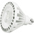 3000 Lumens - 30 Watt - 3000 Kelvin - LED PAR38 Lamp Thumbnail