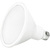 Natural Light - 1200 Lumens - 19 Watt - 3000 Kelvin - LED PAR38 Lamp Thumbnail