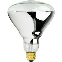 120V 250W Clear Heat Lamp