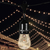 48 ft. Patio String Lights - (16) Incandescent S14 Bulbs Included Thumbnail