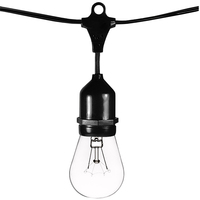 48 ft. - Patio Light Stringer - 15 Sockets - 36 in. Spacing - Black Wire - Male to Female - Connectable up to 4 Strands - Incandescent S14 Bulbs Included