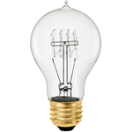 25 Watt - Vintage Light Bulb - 3.6 in Length - Victorian | 1000Bulbs.com