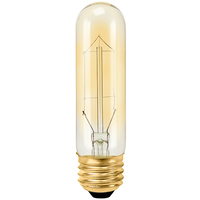 40 Watt - Vintage Antique Light Bulb - T10 Tubular Style - 5 in. Height - Medium Base - Hairpin Filament - Multiple Supports - Tinted