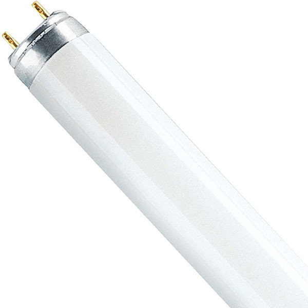 Osram L58W/865 - T8 Linear Fluorescent Tube