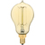 25 Watt - Victorian Bulb - 3.6 in. Length - 2.9 in. x 1.9 in. Thumbnail