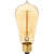 60 Watt - Edison Bulb - Incandescent Vintage Light Bulb - 400 Lumens - 5.4 in. x 2.2 in.  Thumbnail