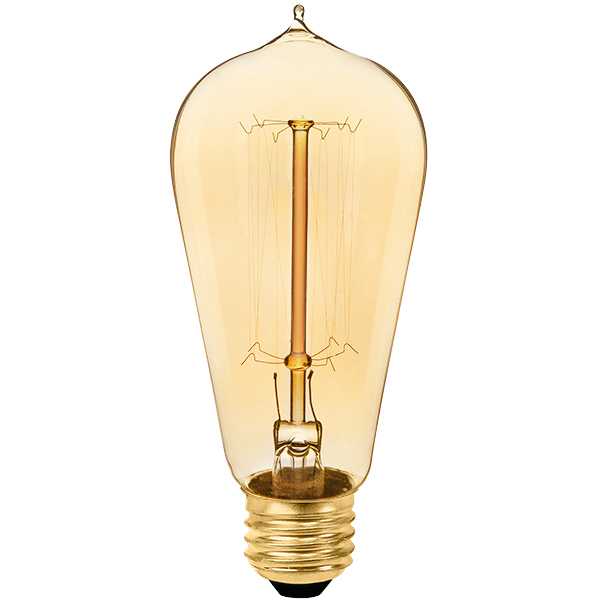 60 Watt - Edison Bulb - 5.3 in. Length - Vintage Light Bulb