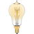 25 Watt - Victorian Bulb - 3.5 in. Length - 3.9 in. x 1.9 in. Thumbnail