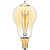 Edison Style - 25 Watt - 3.75 in. Length Thumbnail