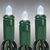LED Mini Light Stringer - 26 ft. - (50) LEDs - Winter White - 6 in. Bulb Spacing - Green Wire Thumbnail