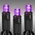 LED Mini Light Stringer - 25 ft. - (50) LEDs - Purple - 6 in. Bulb Spacing - Black Wire Thumbnail