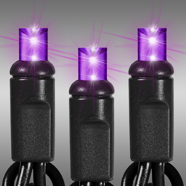 (50) Bulbs - LED - Purple Wide Angle Mini Lights - Length 25.5 ft. - Bulb Spacing 6 in. - 120V - Black Wire