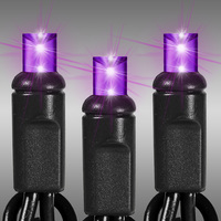 LED Mini Light Stringer - 25 ft. - (50) LEDs - Purple - 6 in. Bulb Spacing - Black Wire - Male to Female Plugs - 120 Volt - Christmas Lite Co. 5MM50P-B