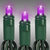 LED Mini Light Stringer - 25 ft. - (50) LEDs - Purple - 6 in. Bulb Spacing - Green Wire Thumbnail