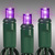 LED Christmas String Lights - 17 ft. - (50) Wide Angle Purple LED's - 4 in. Bulb Spacing - Green Wire Thumbnail