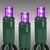 LED Mini Light Stringer - 25 ft. - (50) LEDs - Purple - 6 in. Bulb Spacing - Green Wire Thumbnail