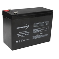 12 Volt - 10Ah - AGM Battery - F2 Terminal - Sealed AGM - Bright Way Group BW12100F2