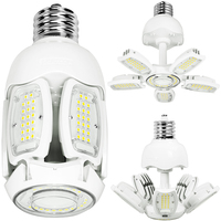 LED 60W HID EX39 5000K