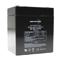 12 Volt - 5Ah - AGM Battery - F1 Terminal - Sealed AGM - Bright Way Group BW1250F1