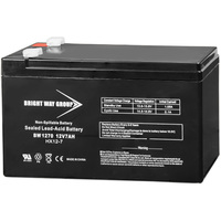 12 Volt - 7 Ah - AGM Battery - F1 Terminal - Sealed AGM - Bright Way Group BW1270F1