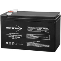 12 Volt - 8 Ah - AGM Battery - F1 Terminal - Sealed AGM - Bright Way Group BW1280F1