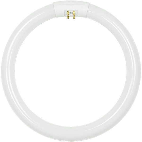 T6 Circline Fluorescent Tube