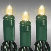 50L Warm Clr Green 5MM