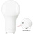 750 Lumens - 9 Watt - 4000 Kelvin - GU24 Base - LED A19 Light Bulb -  Thumbnail
