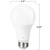 Natural Light - 800 Lumens - 9 Watt - 3000 Kelvin - LED A19 Light Bulb Thumbnail